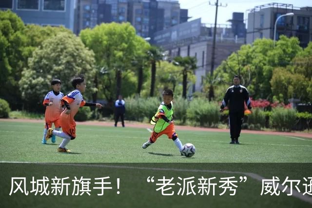 风城新旗手！“老派新秀”威尔逊带给公牛复兴曙光
