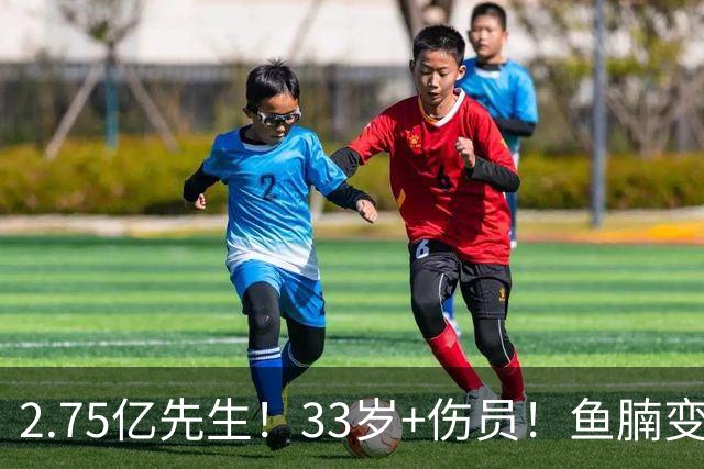 2.75亿先生！33岁+伤员！鱼腩变脸！奇才怎么选？
